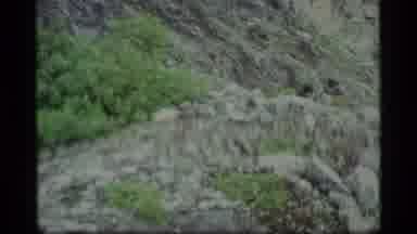 Glacier Bay Alaska USA (1977): Natural Outdoor Beauty