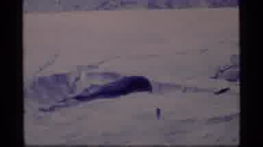 Glacier Bay Alaska USA (1977): Person Walking Across Frozen Landscape On A Winter