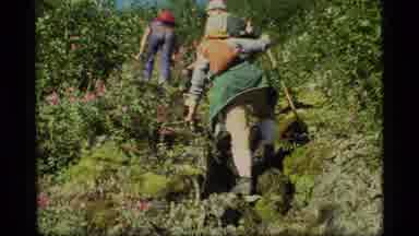 Glacier Bay Alaska USA (1977): Elderly Family Hikes Through Flowery Terrain Uphill