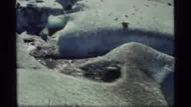 Glacier Bay Alaska USA (1977): Family Walks Across Glaziers In Snow Mountains In