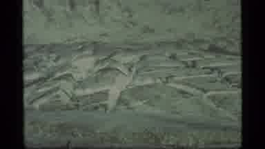 Glacier Bay Alaska USA (1977): View Of White Rocks Sitting On A Hill On A Bright