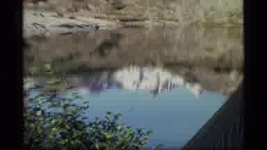 Glacier Bay Alaska USA (1977): Old Snow Mountains Home To Blooming Flowers Near