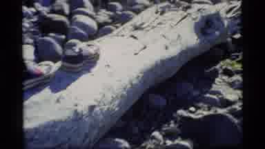 Glacier Bay Alaska USA (1977): Mysterious People Less Shoes Appearing In Random