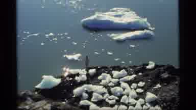 Glacier Bay Alaska USA (1977): People Watching And Filming The Sea Animals