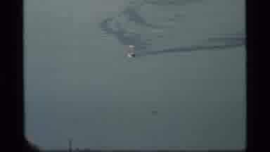 Glacier Bay Alaska USA (1977): A Video Of A Ocean With A Dolphin Diving Inside The