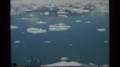 Glacier Bay Alaska USA (1977): A Huge Flock Of Birds Flying Over A Frozen Lake