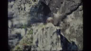 Glacier Bay Alaska USA (1977): Rocky Landscape (Shaky Camera)