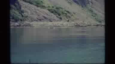 Glacier Bay Alaska USA (1977): A View Of The Rocky Mountains And Animals Swimming