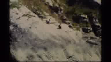 Glacier Bay Alaska USA (1977): Birds Flying Off From A Cliff Near A Source Of