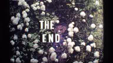 Glacier Bay Alaska USA (1977): White Words In Bold Font Nestled In White Flowers