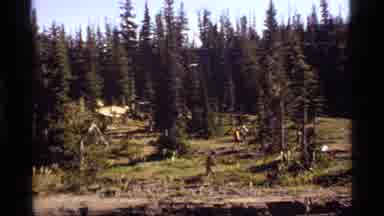 Sapphire Lake Montana USA (1977): Path In The Forest To Avoid Deforestation In The