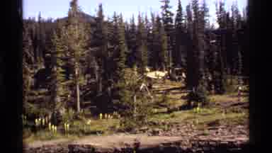 Sapphire Lake Montana USA (1977): Campsite Of Yellow Tents On A Bright Sunny Day