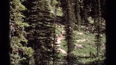 Sapphire Lake Montana USA (1977): A Group Of People Hiking With Backpacks Through
