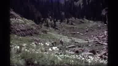 Sapphire Lake Montana USA (1977): Hikers Walking Up A Hill Between Mountains And