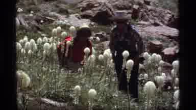 Sapphire Lake Montana USA (1977): A Group Of Hikers Walking In The Forest