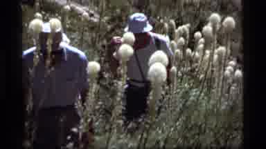Sapphire Lake Montana USA (1977): 2 People Walking Through Plants Third Person In
