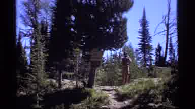 Sapphire Lake Montana USA (1977): Man Talking On His Phone On The Mountain While