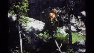 Sapphire Lake Montana USA (1977): Man Walking In The Forest And A Group Of People