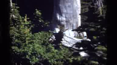 Sapphire Lake Montana USA (1977): Trees In The Forest