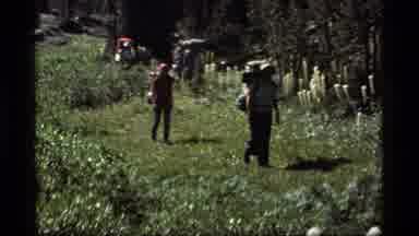 Sapphire Lake Montana USA (1977): 5 People Are Going Camping What Are Their