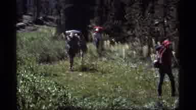 Sapphire Lake Montana USA (1977): Hikers Following Trail On Journey Through Nature