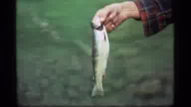 Sapphire Lake Montana USA (1977): A Group Of People Camping And Eating A Freshly