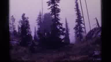 Sapphire Lake Montana USA (1977): Tall Trees In An Opening With A Tent With Red