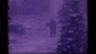 Sapphire Lake Montana USA (1977): Person Hiking Through Forest With A Shovel