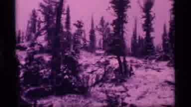 Sapphire Lake Montana USA (1977): Cool Lavender Purple And Magenta Color Overlay