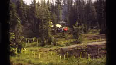 Sapphire Lake Montana USA (1977): Camping With Family And Friends Out In The Woods
