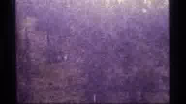 Sapphire Lake Montana USA (1977): People Walking Along A Wooded Trail On A Sunny