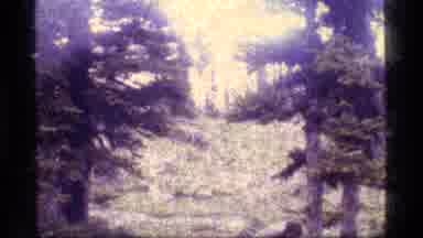 Sapphire Lake Montana USA (1977): Putting A Line Up In A Forest