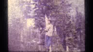 Sapphire Lake Montana USA (1977): A Man Trying To Tie A Rope On A High Tree Branch