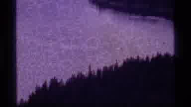 Sapphire Lake Montana USA (1977): A Sea Animal Swimming In The Ocean