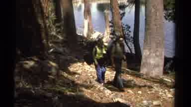Lake Tahoe California USA (1978): Older Man And Woman Hike Through The Woods Under