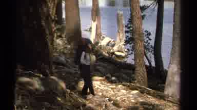 Lake Tahoe California USA (1978): Two Backpackers In Forest Walking On Hiking