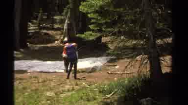 Lake Tahoe California USA (1978): Two Hikers Walk Through A Forest One Stopping To
