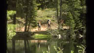 Lake Tahoe California USA (1978): A View Of Campers Walking Through The Wilderness