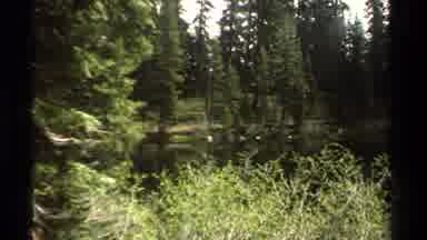 Lake Tahoe California USA (1978): Alpine Pond With Very Green Shores And Black