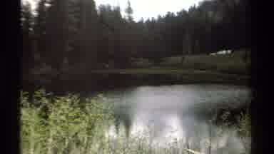 Lake Tahoe California USA (1978): A View Of An Isolated Forest Surrounded By Water
