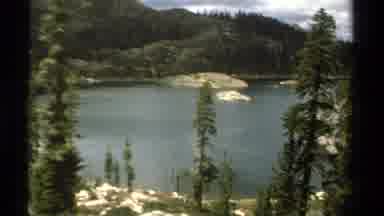 Lake Tahoe California USA (1978): Forest Lake Green Pine Trees Blue Clear Sky