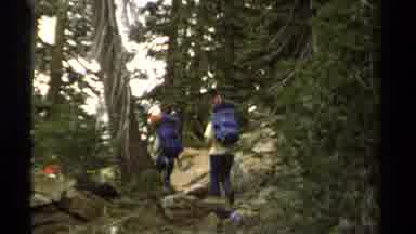 Lake Tahoe California USA (1978): Excursion Through The Mountains And Forest Among