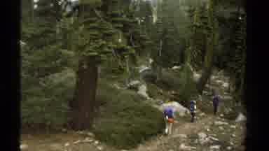 Lake Tahoe California USA (1978): Persons Are Went For Trucking