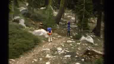 LAKE TAHOE CALIFORNIA USA-1978: Group of Hikers Walking Down a Rocky Forest Trail