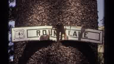 Lake Tahoe California USA (1978): View Of A Round Lake Sign On A Tree Then A Shot