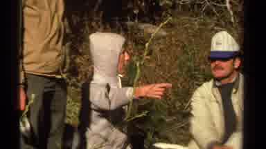 Lake Tahoe California USA (1978): A Man Explaining What Happened To Another Man In