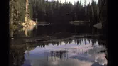 Lake Tahoe California USA (1978): A View Of A Creek And A Woman Throwing Food To