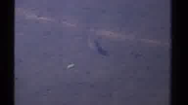 Lake Tahoe California USA (1978): A Single Fish Swimming In The Wild In Clear
