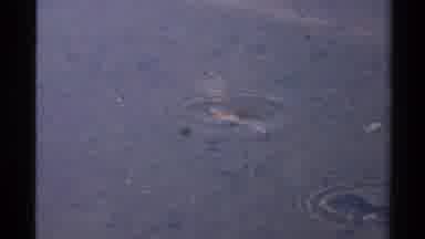 Lake Tahoe California USA (1978): Fish Are Gill-Bearing Cranial Animals That Lack