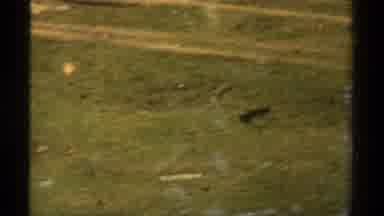 Lake Tahoe California USA (1978): People Camping And A Pond With Fish